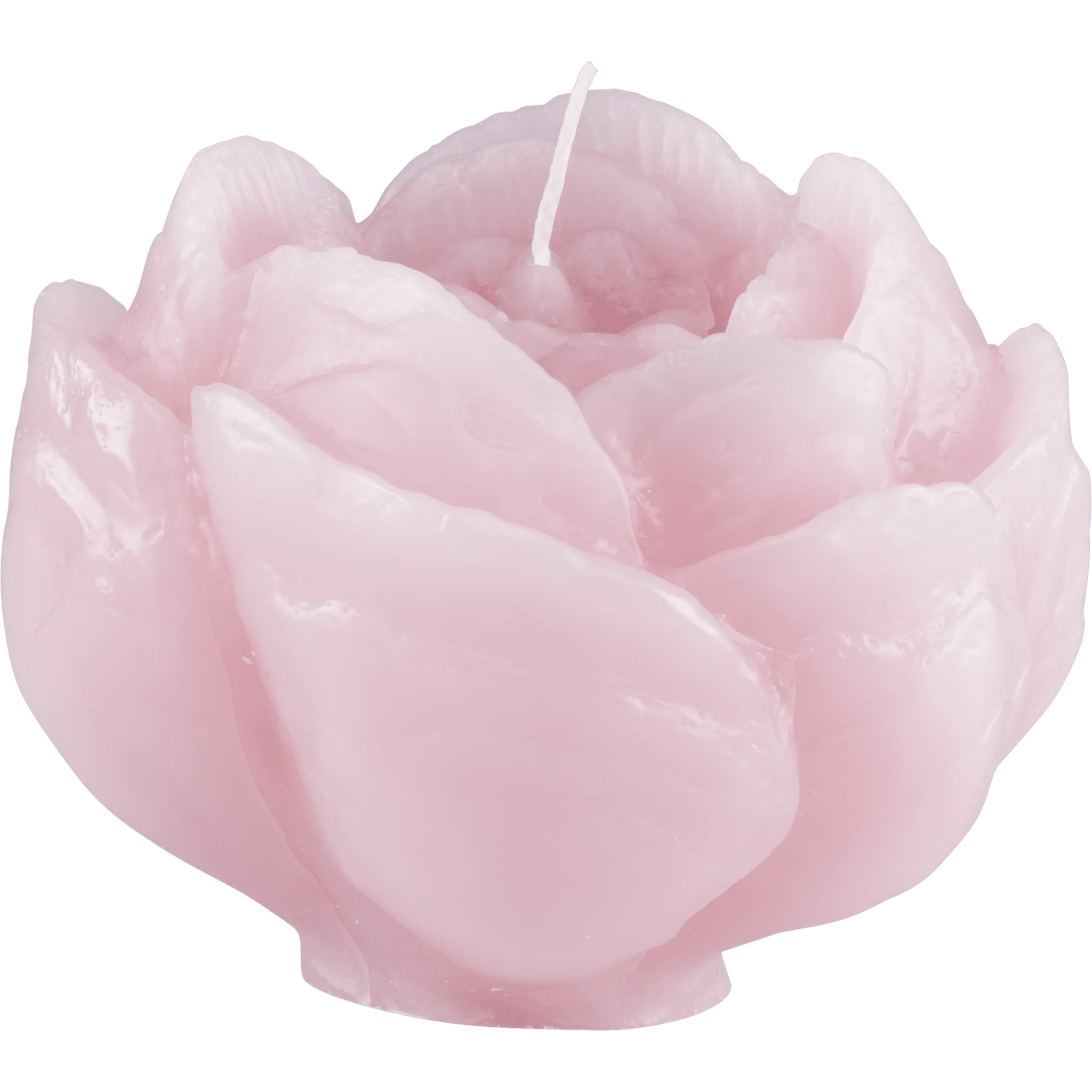 Pikkukuva 1
